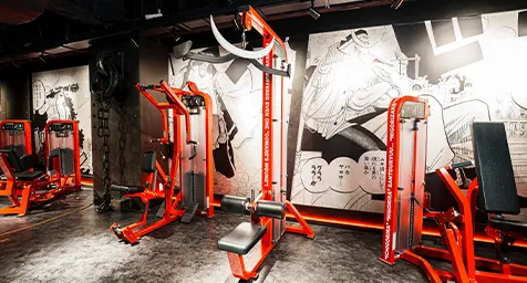 ジムエリア トレーニングマシン 白ひげプルダウン イメージ