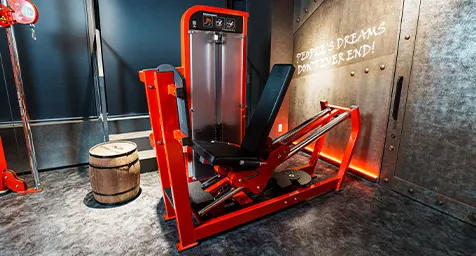 ジムエリア トレーニングマシン レッグプレス イメージ