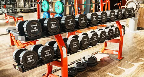 ジムエリア トレーニングマシン ダンベル12～30kg イメージ