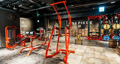 ジムエリアエリア トレーニングマシン チンディップ/レッグレイズ イメージ