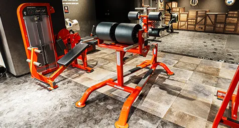 ジムエリアエリア トレーニングマシン ハイパーバックエクステンション  イメージ